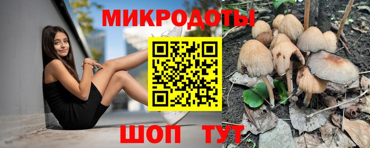 Галлюциногенные грибы ЛСД Сунжа