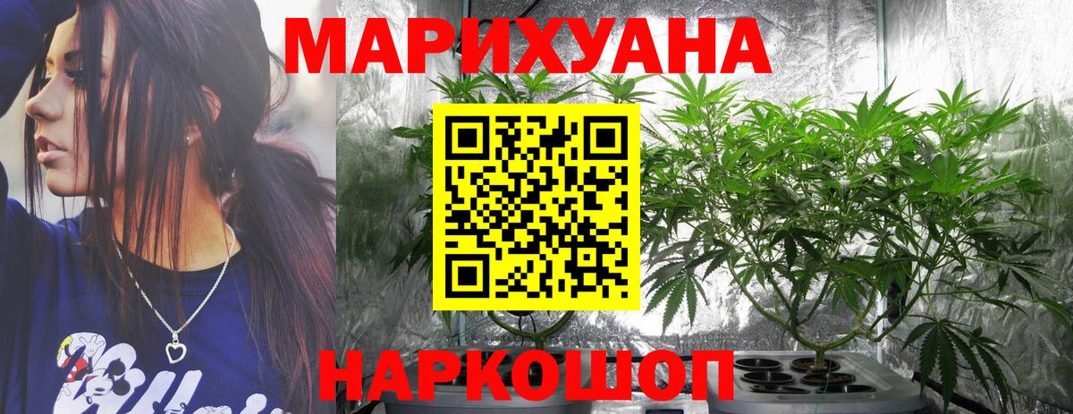 Каннабис план  Вход с VPN  Бошки Шишки сатива  Сунжа  Марихуана план 